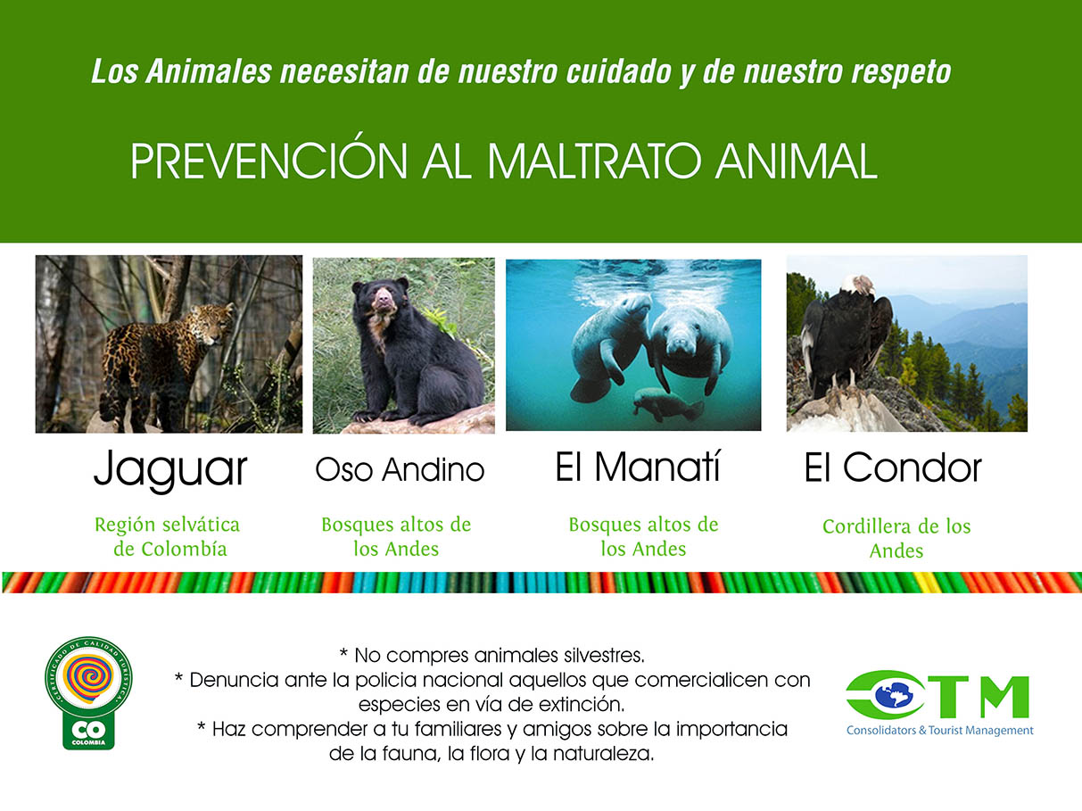 CUIDADO Y RESPETO POR LOS ANIMALES - CTM en Línea